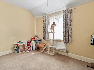 Picture 14